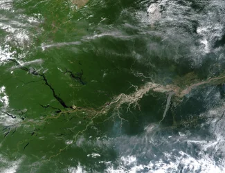 Echtfarben-Satellitenbild des Amazonas, durch den ein Fünftel des Flusswassers in die Ozeane der Erde fließt. Wissenschaft Geographie